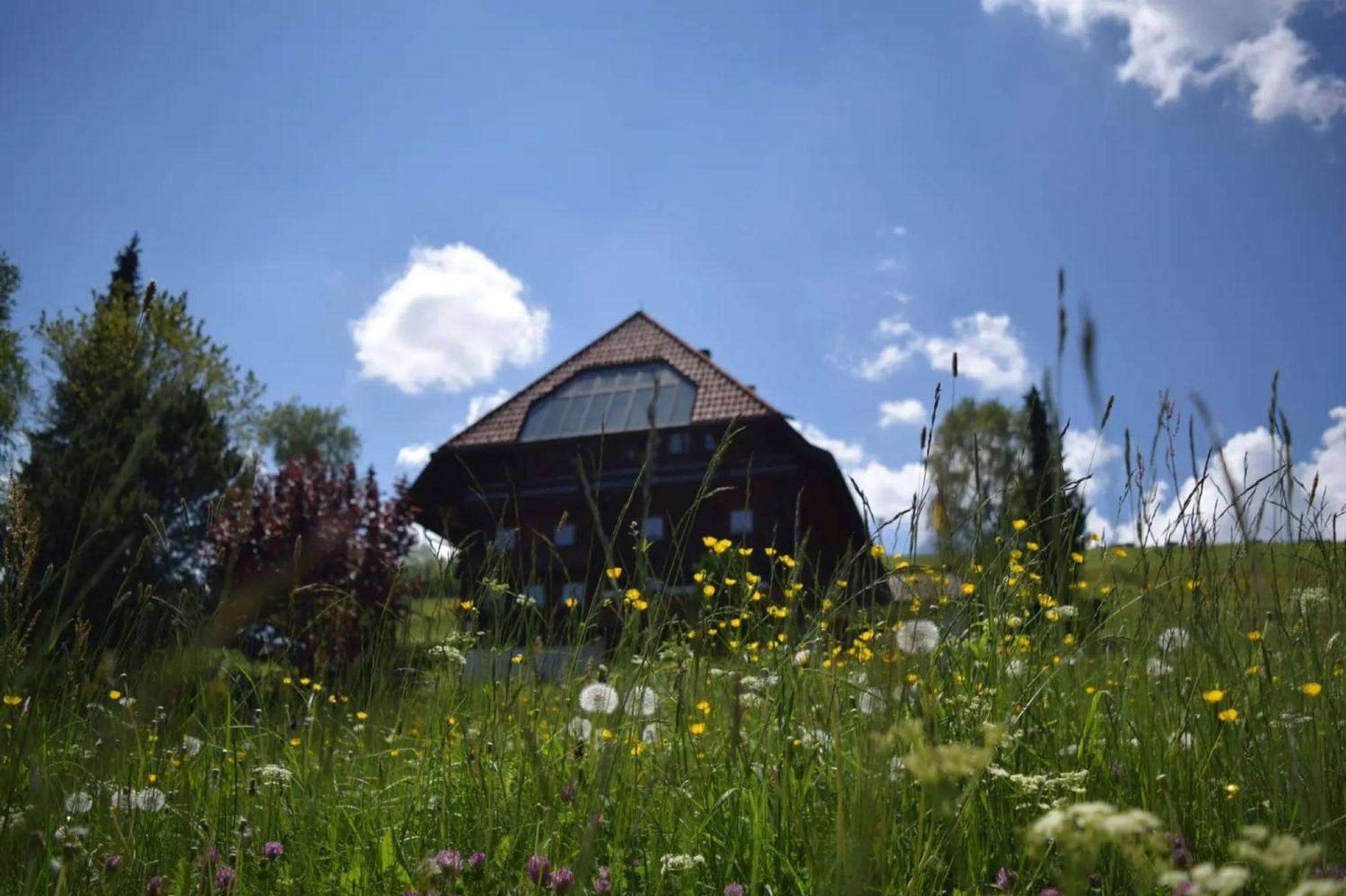 Haus Winterberg * Schonach im Schwarzwald